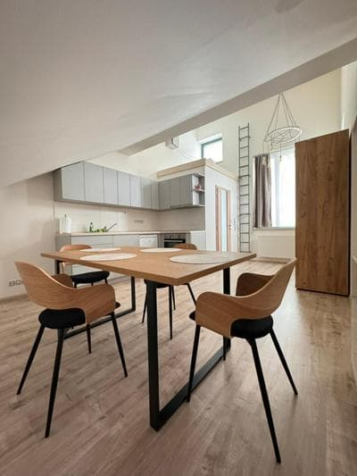 Radbuza Apartment