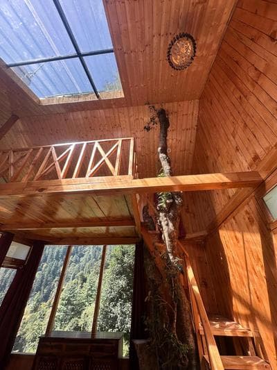 Tree House by The Forest Pinnacle and Café, Jibhi