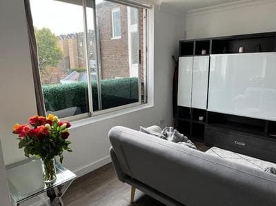 Modern 1 bedroom near Harrods