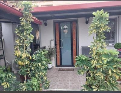 Zoe garden home