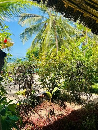 Z Lodge Zanzibar