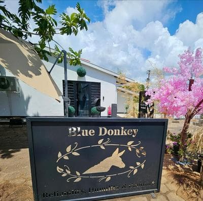 The Blue Donkey
