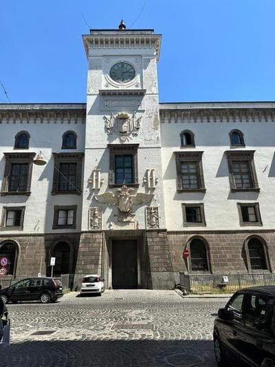 HV Suites TRIBUNALIUM