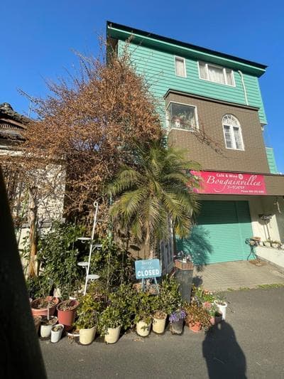 Satsuma vacation Bougainvillea cafe