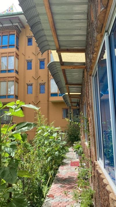 Forest Boutique - Hotel in Thimpu