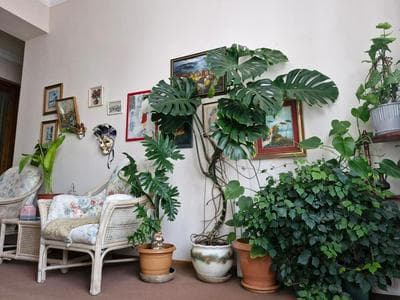 Tamari Guest House