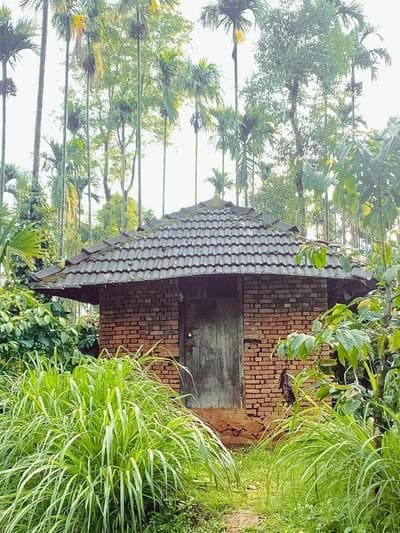 kaffee valley - homestay