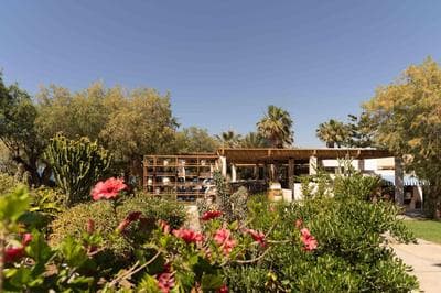 Phāea Cretan Malia, a Member of Design Hotels