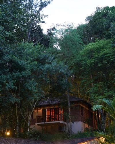 Raindrops Resorts Wayanad
