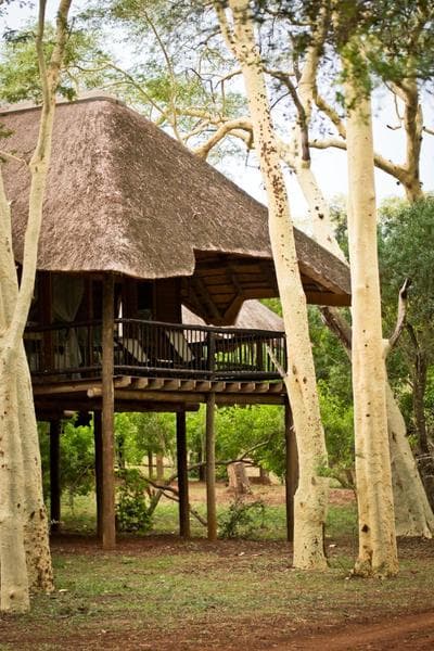 Ubizane Zululand Tree Lodge