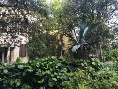 Pintino Garden