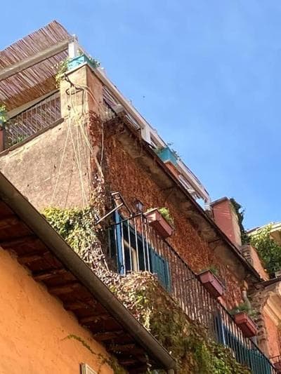 Amazing Terrace in Trastevere