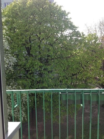 Kazimir Apartament Lodz