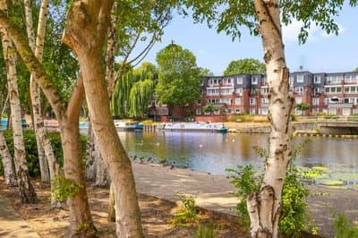 Furnished 1Bed Flat near Tottenham Hale