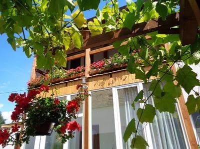 Gasthaus Helena