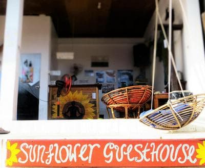 Sunflower guesthouse