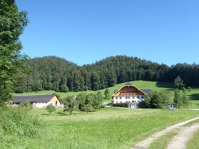 Russbachbauer