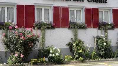 Restaurant Blume