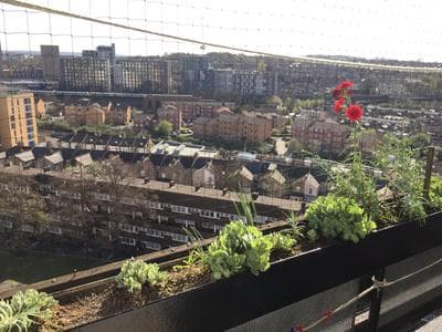 Two bedroom apartment in Royal Greenwich