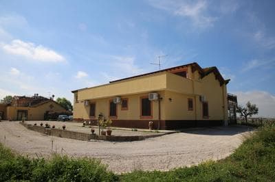 Grappoli di Sole