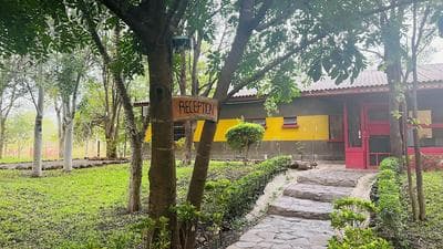 Adrenaline Lodge and Tours