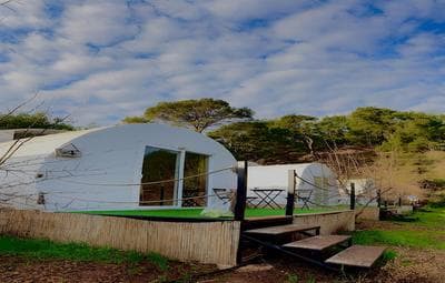 Evergreen Glamping