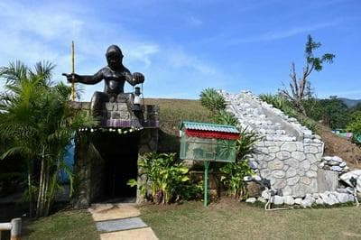 Jungle Resort