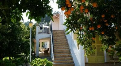 Hostal Amistad