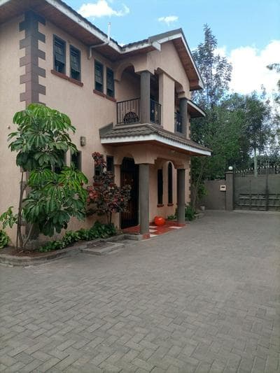 Palm Airport Suites
