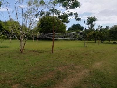 Wild eco safari