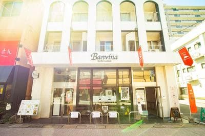 Guest House Banvina - Hostel
