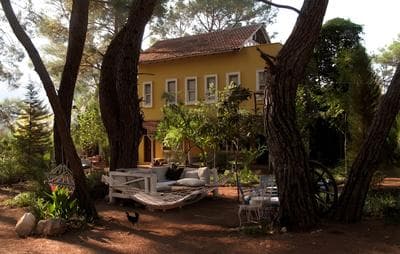 Daphne House
