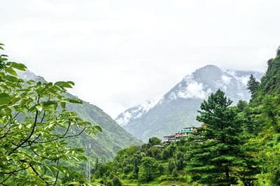 The Blissful A Frame Abode