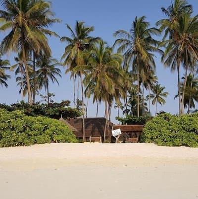 Family Beach Bungalows