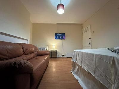 Spacious Flat - Sleeps 6 - Heart of London
