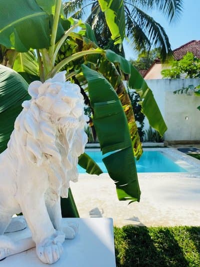 Luxury Lions Villas Zanzibar - with Private Cook&Infinity Pools