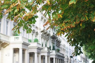 The London Agent Hyde Park King Bed