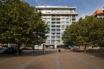 Austin David Apartments - Riverstate
