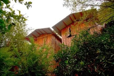 Bayrams Tree Houses
