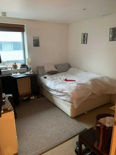 Modern 3 Bedroom Apartment in Paddington