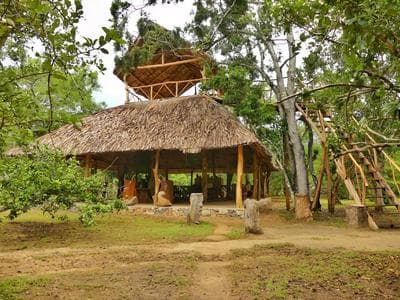 Yala Safari Camping