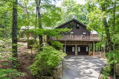 Treetop Oasis