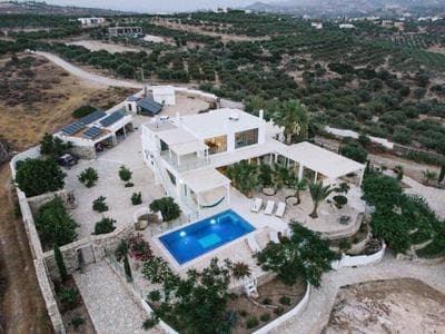 Villa Olympia in the Palm Trees