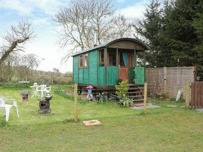 Harri's Hut