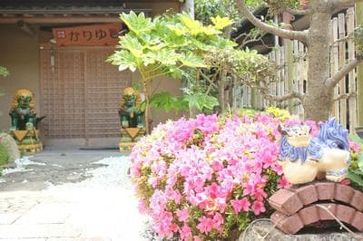 Okinawa Minshuku Kariyushi Honkan