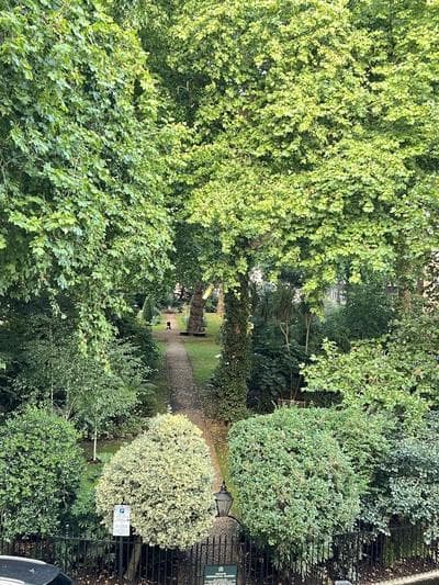 Charming 1-bed Apartment in London