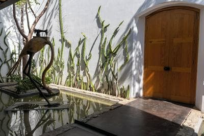Casa Carmen Xólotl