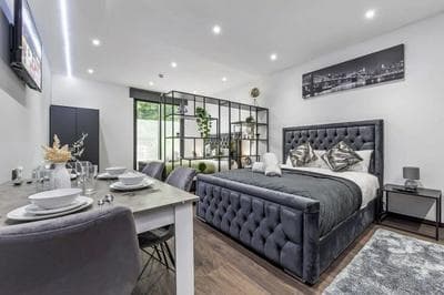 Huge Cosy Studio Family Sleeps 4 North West London