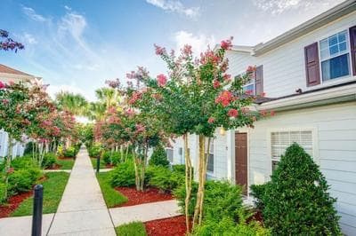 Lucaya 3 Bedroom 2 Bath Townhome With Zero Entry Resort Pool