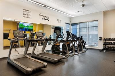 Kasa Pet Friendly Nearby Local Eateries Milwaukee